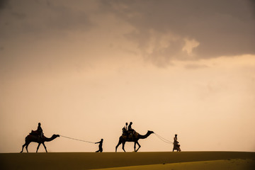 Fototapeta na wymiar Camel Caravan in the desert in Rajasthan, India