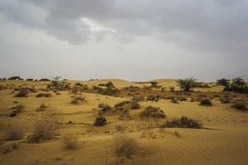 Fototapeta na wymiar In the middle of the desert in Rajasthan, India