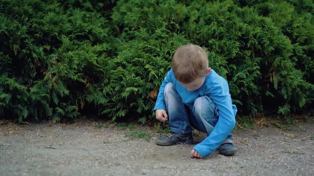 Small boy lays a picture of stones on the ground near the bushes.