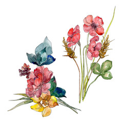 Wildflower bouquet floral botanical flowers. Watercolor background set. Isolated wildflower illustration element.