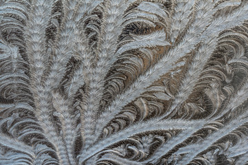 Painted by nature - gemalt von der Natur