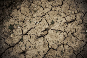 Dry and cracked soil