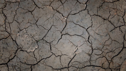 texture of cracked soil