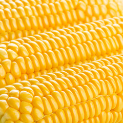 Corn