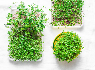 Homemade micro greens on a light background, top view. Healthy food lifestyle diet concept. Flat lay, copy space