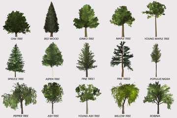 Fototapeta premium Tree decoration-home & garden