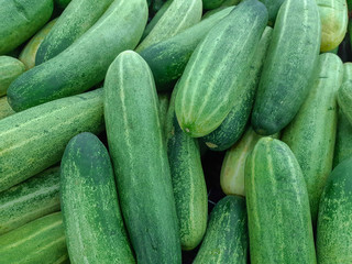 Fresh green vegetable in a market