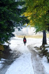 woman walking among beautiful autumn colors.artvin/turkey