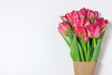 Boquet of red and pink tulips. Floral white background with space for text