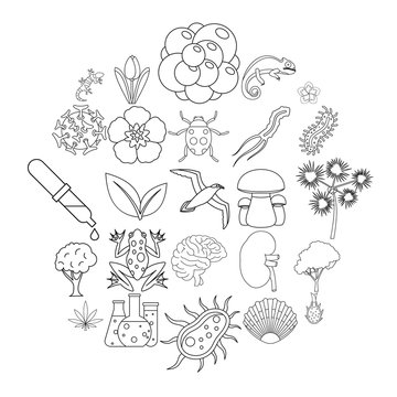 Flora icons set. Outline set of 25 flora vector icons for web isolated on white background