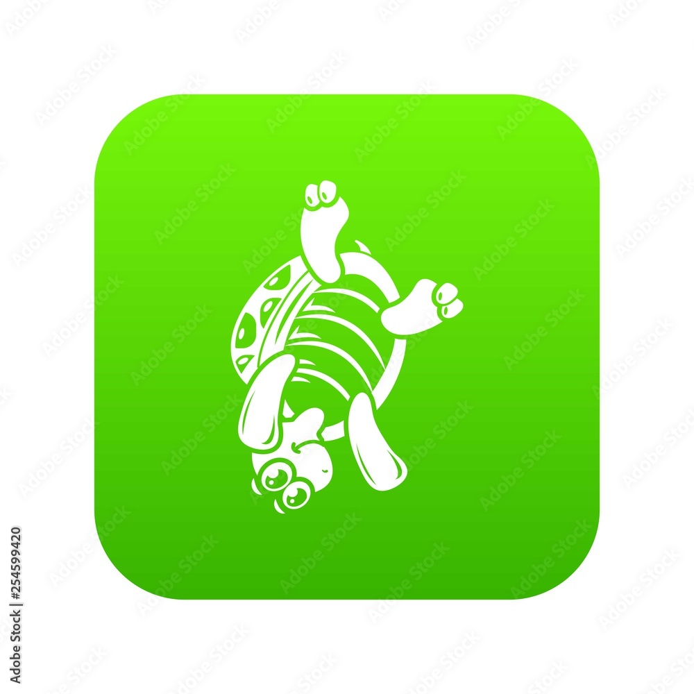 Poster turtle on head icon. simple illustration of turtle on head vector icon for web