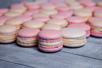 Obraz na płótnie Canvas Plate of fresh colorful macarons. Raspberry and strawberry pink macarons on soft pastel pink background