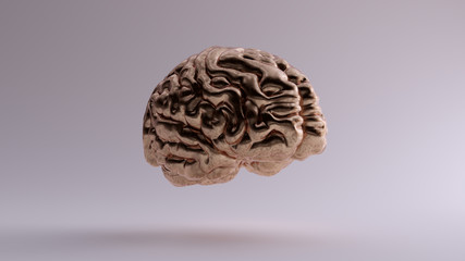 Bronze Anatomical Brain 3Q Front Right 3d illustration 3d render