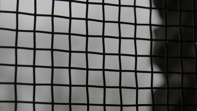 Silhouette metal mesh squares on window view outside 