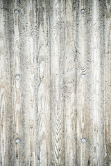 Obraz premium 木目模様のコンクリート壁