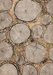 The road from the log as a background