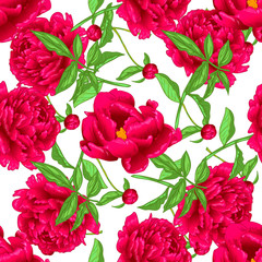 Vector red peony botanical flowers. Engraved ink art. Seamless background pattern. Fabric wallpaper print texture.