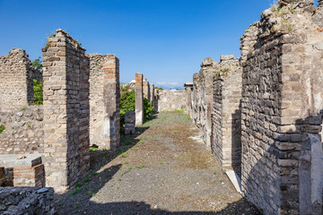 Fototapeta na wymiar The city of Pompeii buried under a layer of ash by the volcano Mount Vesuvius