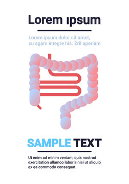 human digestive system intestine internal organ symbol gut health anatomy healthcare concept infographic template copy space white background vertical