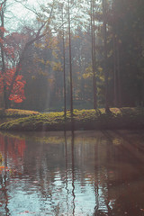 Landscape in the sunlight autumn lake and trees