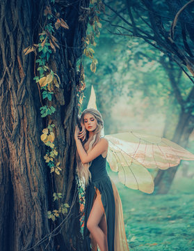 sweet forest angel, nymph with perfect thick white hair in image of dreamy spirit with butterfly wings. attractive fairy with bare legs, mythical creature closes eyes, listens to breath of nature