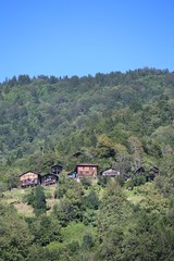 beautiful, woman, autumn, background, nature, blue, beauty, green, color, young, people, female, person, girl, happy, portrait, caucasian, sky, yellow, old, cute, pretty, fashion, colorful, bright, fo