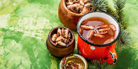 Tea with pine buds