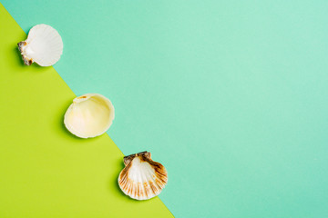 Fototapeta premium Summer holidays. Seashells on a light blue and green background. Sea souvenirs. Summer concept. Flat lay, top view, copy space.