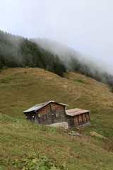 beautiful, woman, autumn, background, nature, blue, beauty, green, color, young, people, female, person, girl, happy, portrait, caucasian, sky, yellow, old, cute, pretty, fashion, colorful, bright, fo