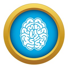 Brain mind icon blue vector isolated on white background for any design