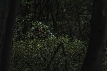 Camouflaged sniper