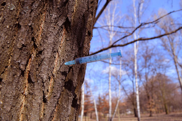 Medical syringe sticking out of a tree in nature.