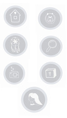 set with grey icons