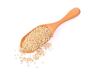White sesame in spoon on white background
