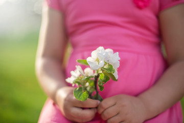 Tender flower in blossom in little girl's hands