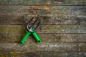 Gardeners hands planting flowers at back yard Gardening Tools on Soil Background. Spring Garden Works Concept