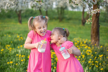 Two sisters in pink dresses having fun and playing together, drinking milk shake from glass bottles outdoors in blossom garden 