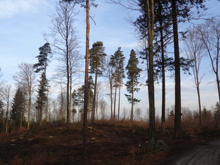 Kartuzy © M. G. Koperkiewicz