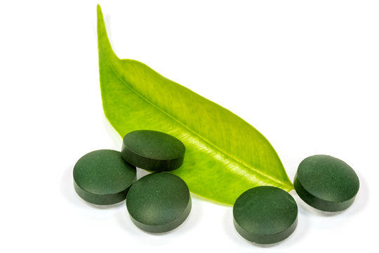 Comprim&eacute;s de spiruline sur feuille de ficus