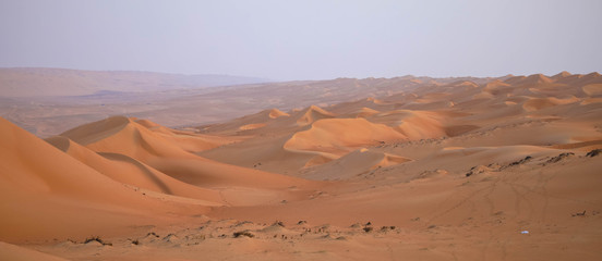Fototapeta na wymiar Panorama, Wüste Wahiba sands, Oman