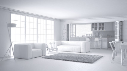 Total white project of minimalist white living room and kitchen, big window and carpet fur,...