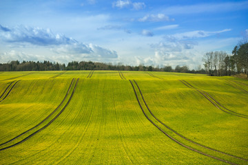 Obraz premium spring field on a background of clouds on a sunny day