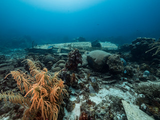 Fototapeta na wymiar Airplane wreck as a part of the coral reef in the Caribbean Sea around Curacao