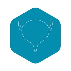 Bladder icon. Outline illustration of bladder vector icon for web
