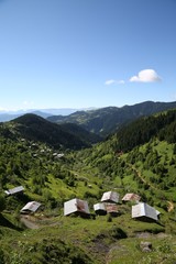 flowering meadows and village landscapes.savsat/artvin/turkey