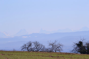 Fototapeta premium vue sur les Alpes depuis les Vosges, Rotenbrunnen, Bourbach-le-Bas