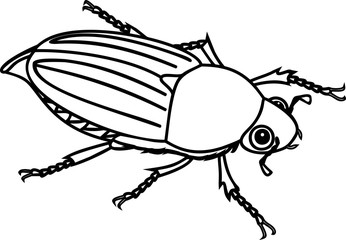Coloring page with female cockchafer or May bug isolated on white background