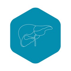 Liver icon. Outline illustration of liver vector icon for web