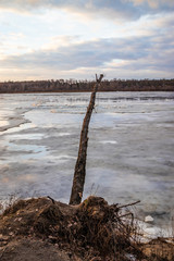 The descent of ice in the spring on the river in March is a natural phenomenon against the sky and...