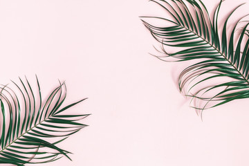 Summer composition. Tropical palm leaves on pastel pink background. Summer concept. Flat lay, top view, copy space